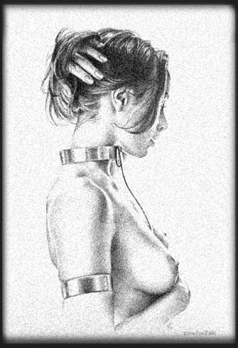 slavinden2.jpg (37534 bytes)